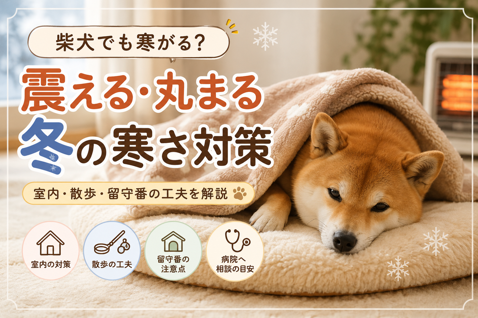 柴犬でも寒がる？震える・丸まる冬の寒さ対策 - ペットと笑う毎日